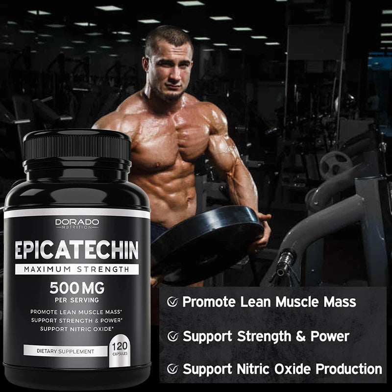 Epicatechin Extract Supplement, 500 Mg